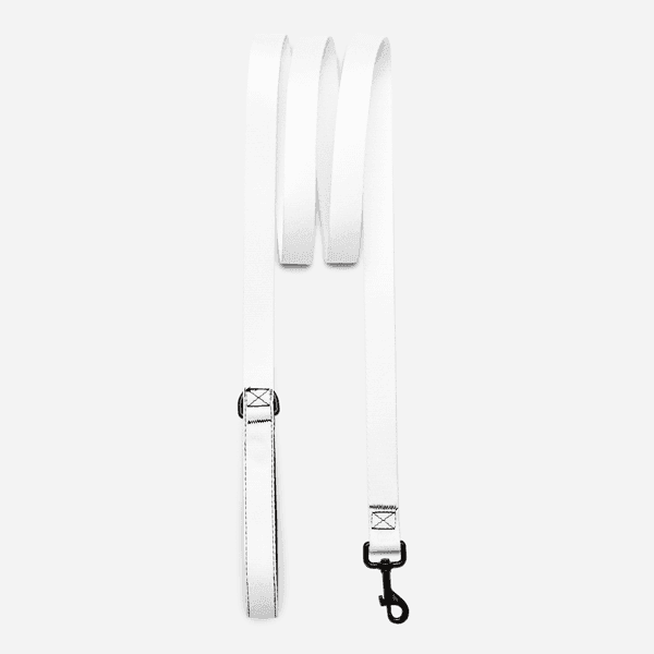 Pet Leash