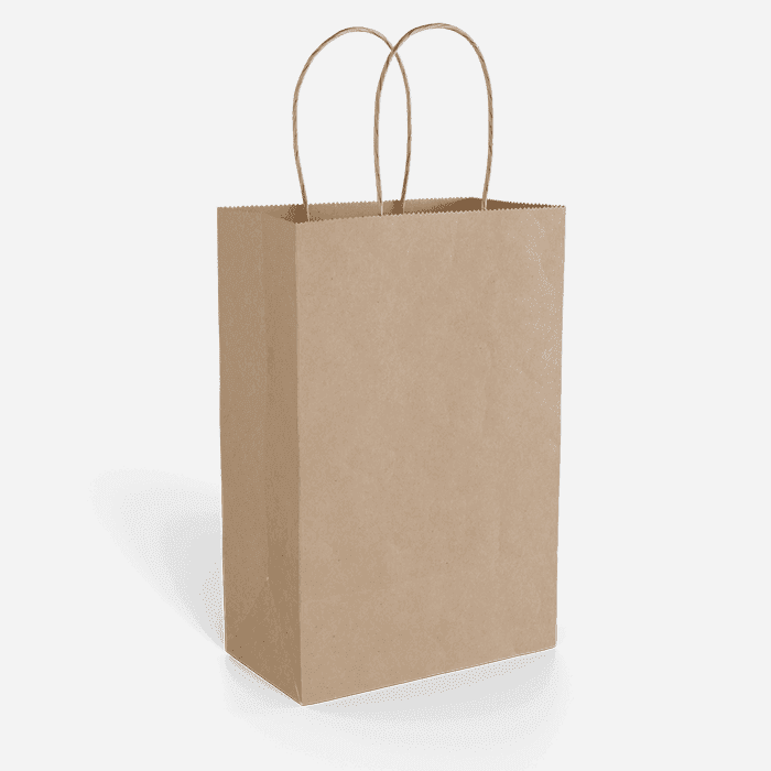 Paper Gift Bag