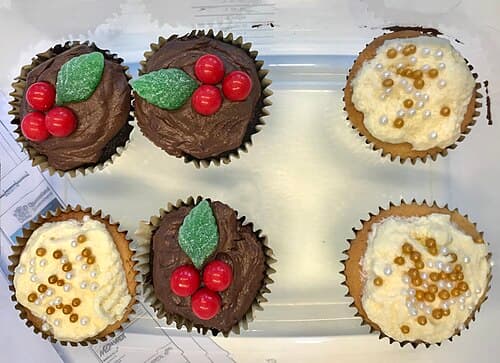 Holiday Peppermint Cupcake Box (12)