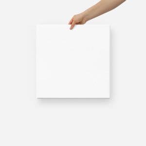 Canvas (in)